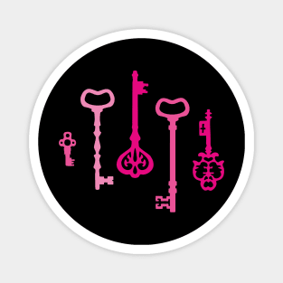 Pink Secret Keys Magnet